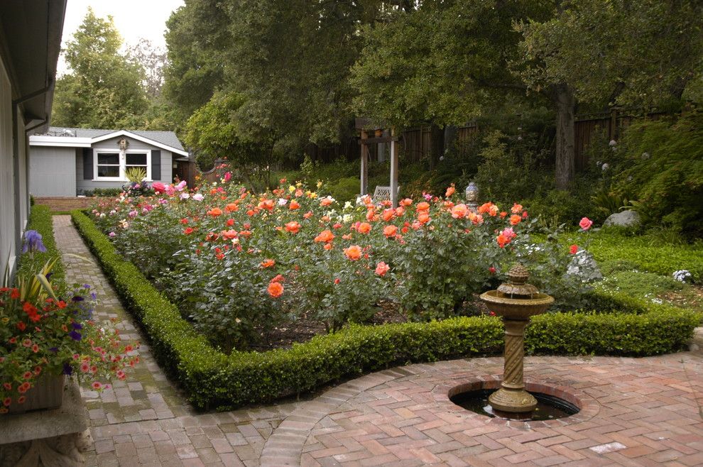 Розы в дизайне сада: оформление розария на участке - Бабушкина дача