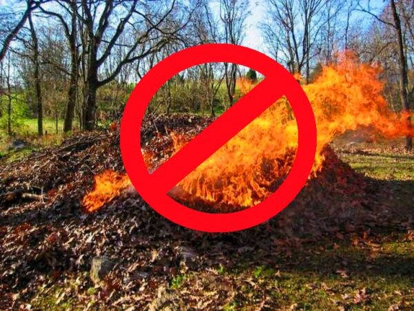 Экологи против сжигания листвы
