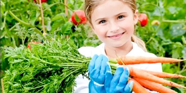 Ребенок помогает собирать урожай