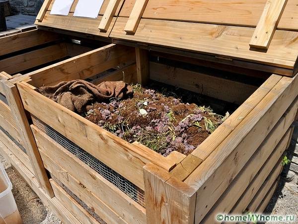 Урожай без химии и вони: как организовать компост на даче?