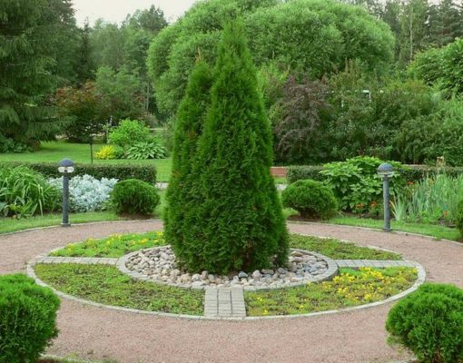 Сажаем на участке сада или дачи одно огромное дерево и создаём уникальный ландшафтный дизайн
